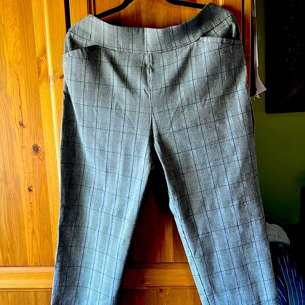 Dress pants